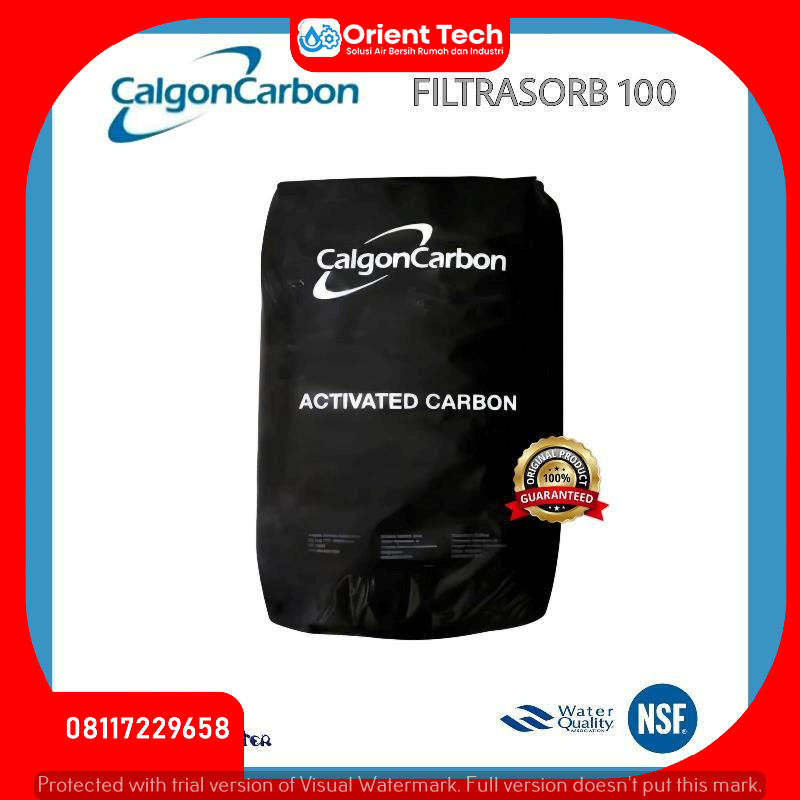 Karbon Aktif Calgon F100 USA